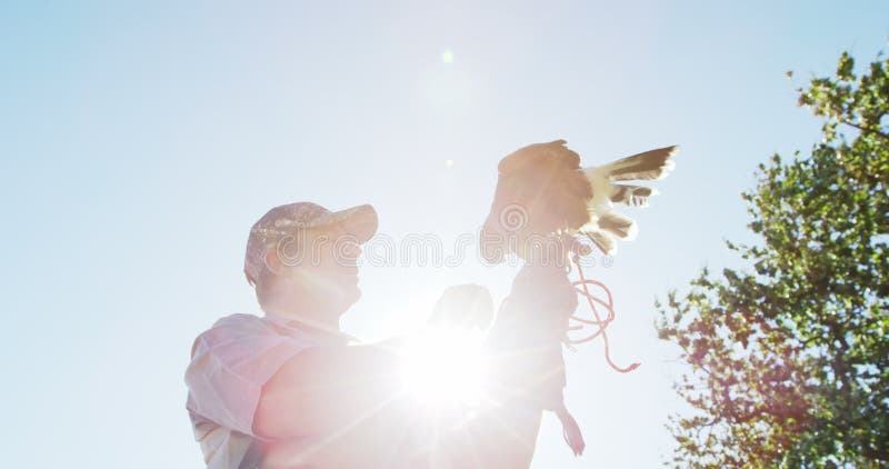 L'aquila del falco che si appollaia sopra equipaggia la mano