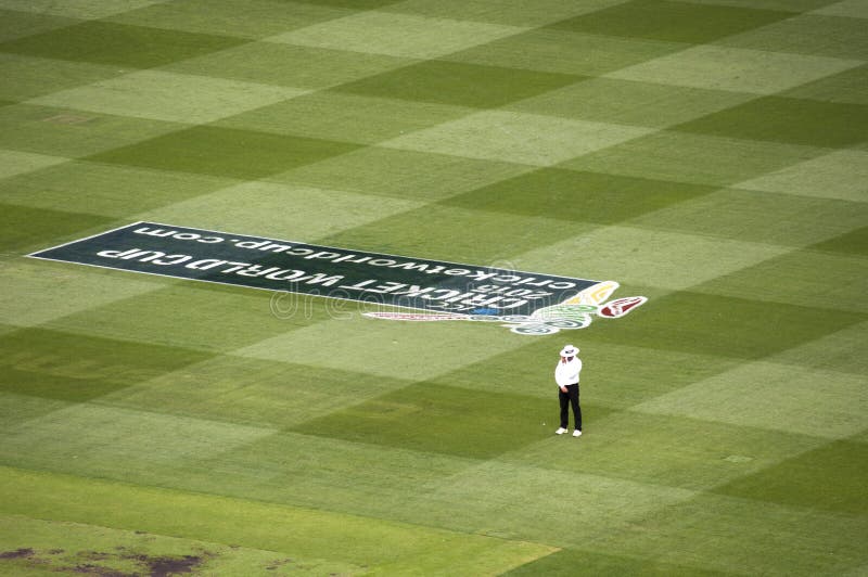 L'arbitre seul se tient dans le match de cricket au magnétocardiogramme images libres de droits L'arbitre seul se tient dans le match de cricket au magnétocardiogramme images libres de droits