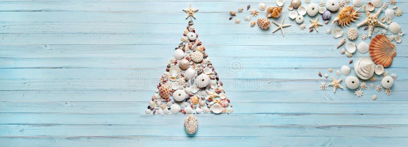 A christmas tree made of shells on a blue painted banner background. A christmas tree made of shells on a blue painted banner background