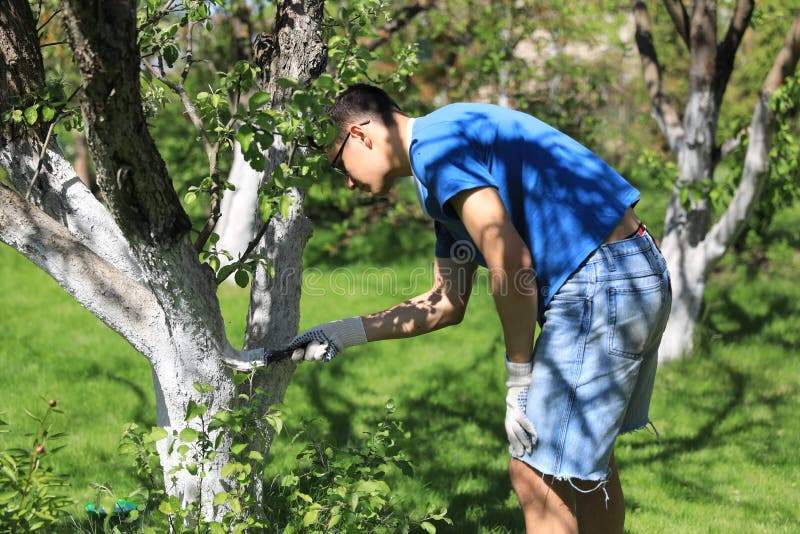 L'arbre à peindre les Garçons dans le jardin photos libres de droits