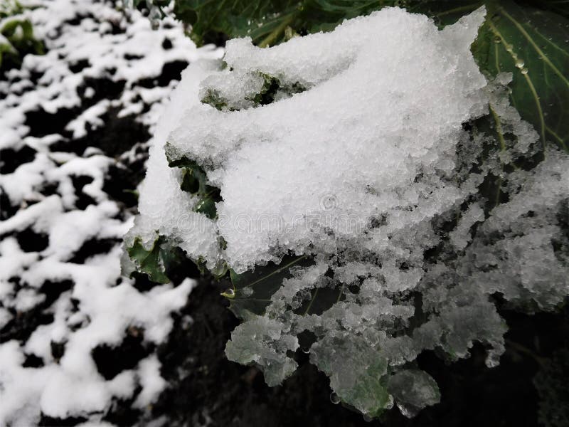 L'argilla marrone sotto le gocce di pioggia e la neve. Per concludere, siamo qui l'inverno E devo prendere una macchina fotografica ed uscire