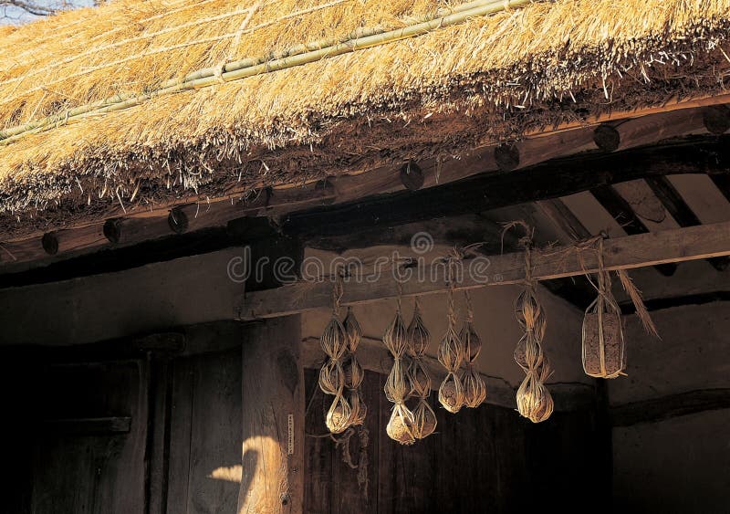 Asia immagine stock libera da diritti