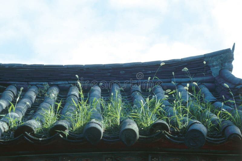 Asia fotografia stock libera da diritti