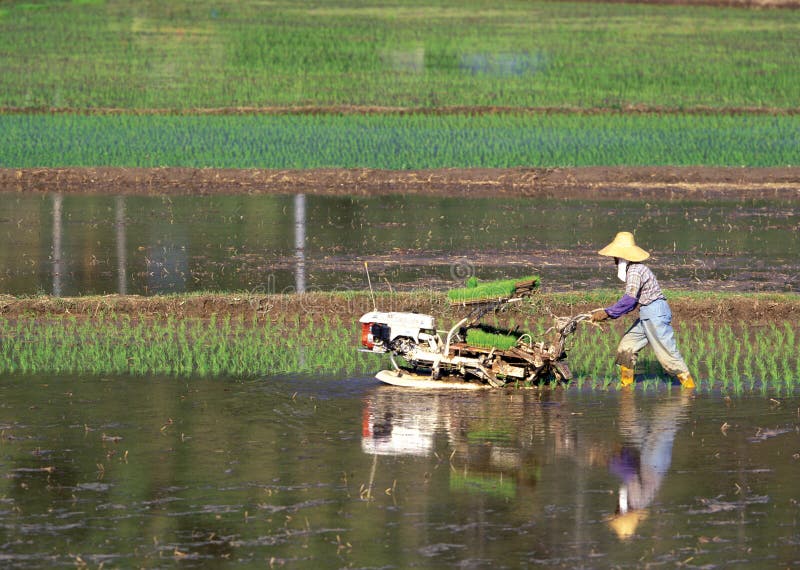 Asia fotografia stock