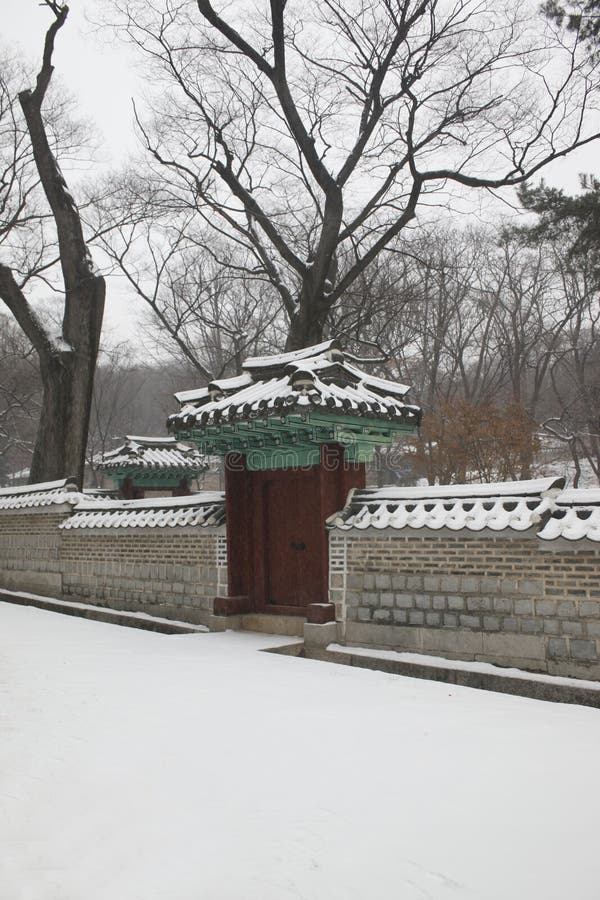 Asia immagine stock libera da diritti