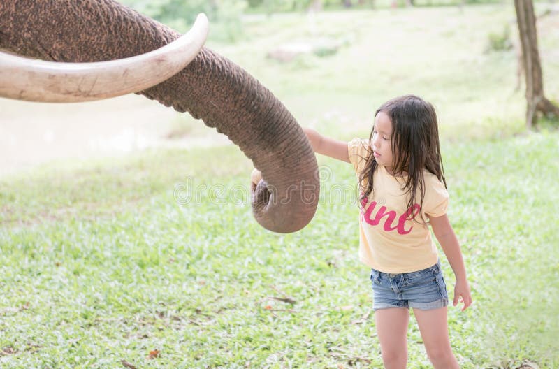 L'asiatico sveglio gode di all'elefante d'alimentazione fotografia stock libera da diritti L'asiatico sveglio gode di all'elefante d'alimentazione fotografia stock libera da diritti