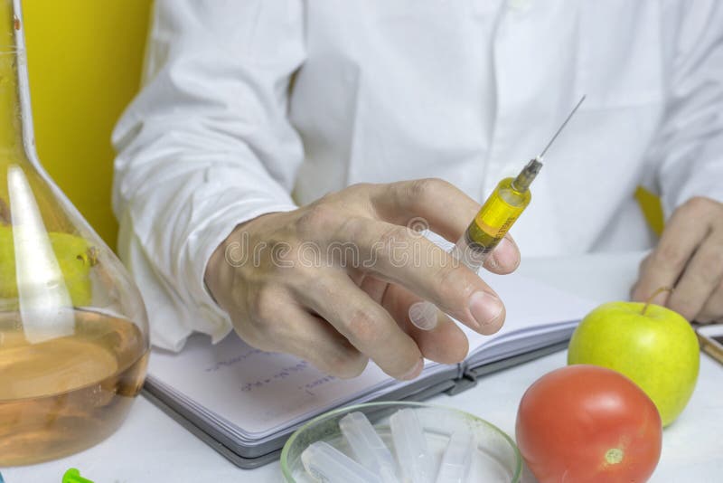 L'assistente di laboratorio in un abito bianco nitra la colite ed i GMOs in un pomodoro ed in una mela stanno trovando su una tav immagine stock libera da diritti L'assistente di laboratorio in un abito bianco nitra la colite ed i GMOs in un pomodoro ed in una mela stanno trovando su una tav immagine stock libera da diritti