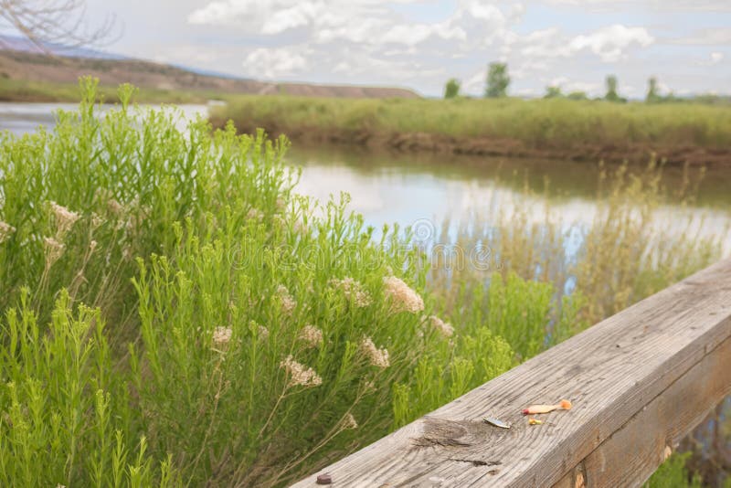 L'attirail laissé sur pêcher le dock le long de la commande de faune dans les bruns se gare en début de l'été photo stock L'attirail laissé sur pêcher le dock le long de la commande de faune dans les bruns se gare en début de l'été photo stock