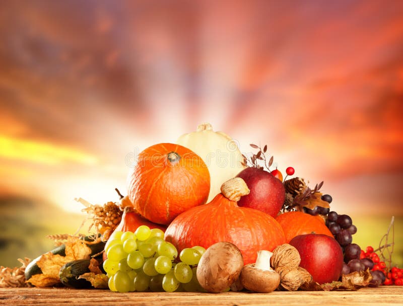 L'autunno ha raccolto la frutta e la verdura su legno fotografie stock L'autunno ha raccolto la frutta e la verdura su legno fotografie stock