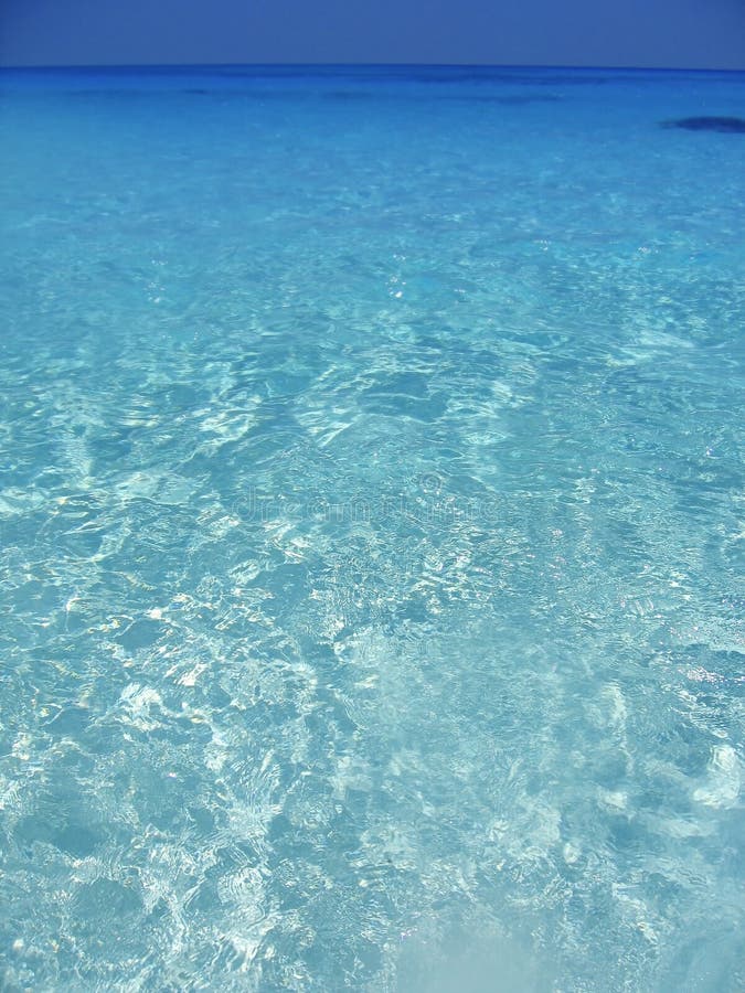 L eau  Bleue  De Turquoise  De Mer Des Cara bes Dans Cancun 