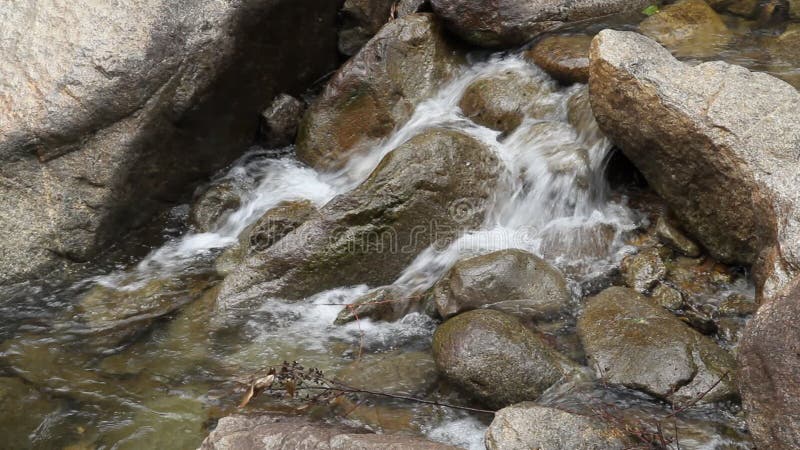 L'eau circulant sur une roche