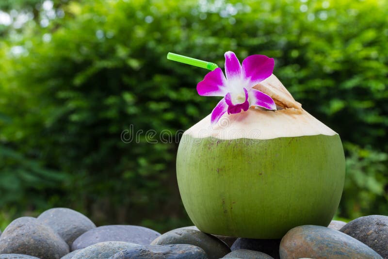 L'eau de noix de coco de portion et décoration de la fleur d'orchidée photo libre de droits L'eau de noix de coco de portion et décoration de la fleur d'orchidée photo libre de droits