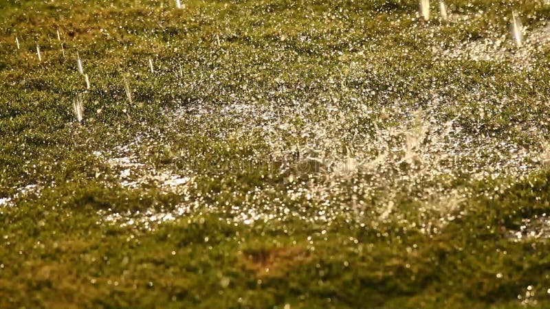 L'eau de pluie dans le jardin