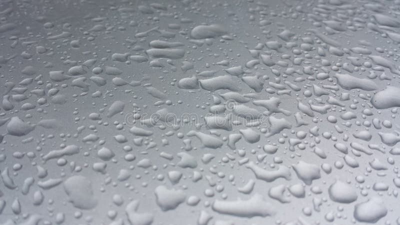 Waterdrops on bright gray background. Water drops B&W. Rain drops on the window, dark view. Waterdrops on bright gray background. Water drops B&W. Rain drops on the window, dark view