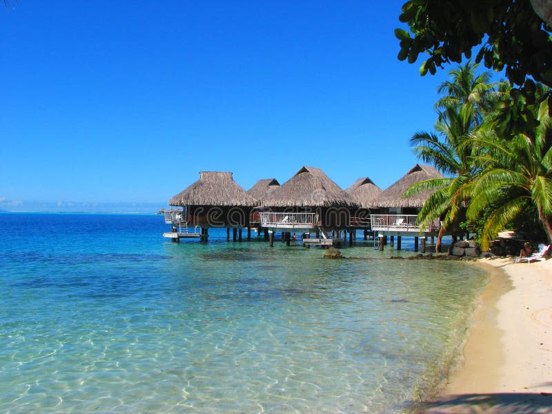 L'eau de Polynésie française de pavillons de bora