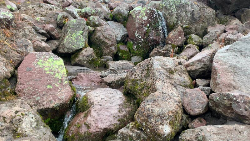 L'eau potable verse sur les pierres Un beau courant avec de l'eau propre et savoureux montagne banque de vidéos
