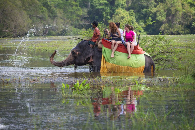 L'elefante porta i turisti e spruzza l'acqua La Sri Lanka immagine stock libera da diritti L'elefante porta i turisti e spruzza l'acqua La Sri Lanka immagine stock libera da diritti