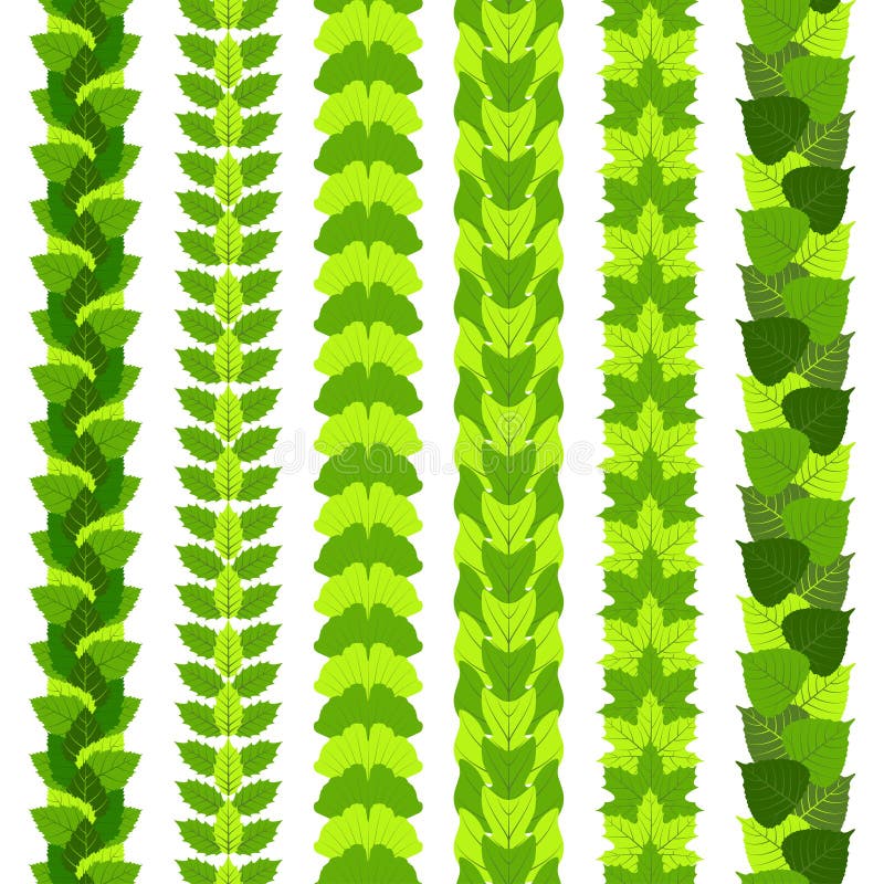 L'ensemble de frontières foliées stylisées faites en arbre différent laisse, comme le ginkgo, l'arbre de tulipe, la cendre, le bo illustration libre de droits L'ensemble de frontières foliées stylisées faites en arbre différent laisse, comme le ginkgo, l'arbre de tulipe, la cendre, le bo illustration libre de droits