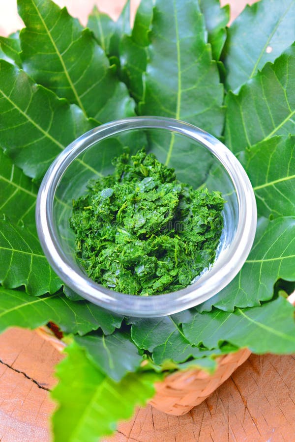 L'erba tailandese fresca ha schiacciato la foglia del neem sulla ciotola di vetro immagini stock L'erba tailandese fresca ha schiacciato la foglia del neem sulla ciotola di vetro immagini stock
