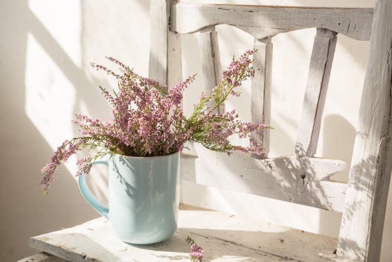 L'erica fiorisce in una tazza su una vecchia sedia bianca immagine stock libera da diritti L'erica fiorisce in una tazza su una vecchia sedia bianca immagine stock libera da diritti