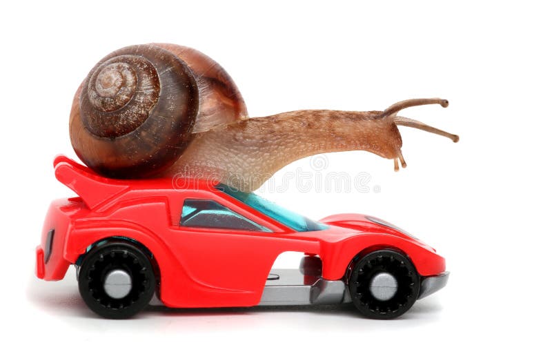 Vitesse d'escargot image stock. Image du beau, déménager 41364717