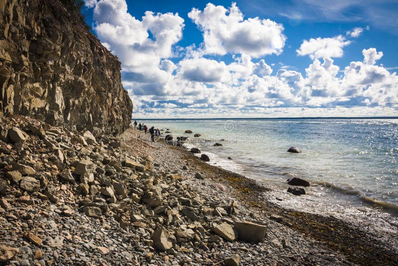 Panga Pank - highest cliff in Saaremaa. Panga Pank - highest cliff in Saaremaa