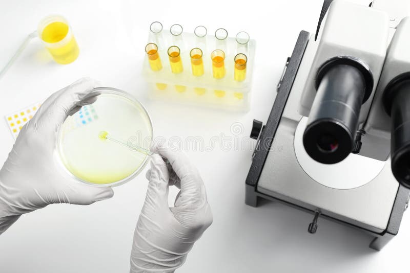 L'examen de mains de docteur analyse photo stock L'examen de mains de docteur analyse photo stock