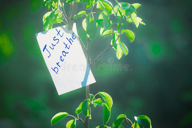 L'expression de motivation respirent juste Sur un fond vert sur une branche est un livre blanc avec une expression de motivation images libres de droits L'expression de motivation respirent juste Sur un fond vert sur une branche est un livre blanc avec une expression de motivation images libres de droits