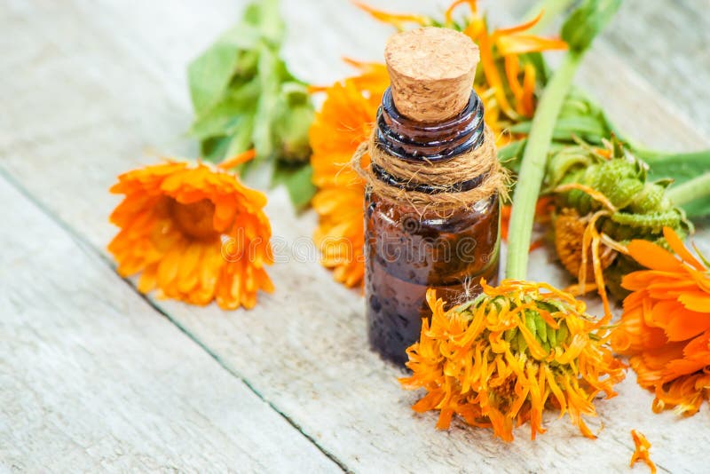 L'extrait de calendula Plantes médicinales photo libre de droits L'extrait de calendula Plantes médicinales photo libre de droits