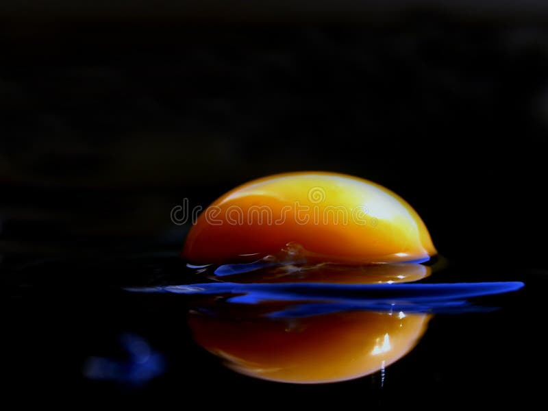 L'extrémité eggs la série III photos stock L'extrémité eggs la série III photos stock