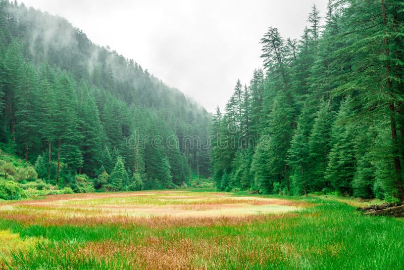 L'herbe a couvert le lac de rishi de punrik en Himalaya, vallée de Sainj, Himachal Pradesh, Inde images libres de droits L'herbe a couvert le lac de rishi de punrik en Himalaya, vallée de Sainj, Himachal Pradesh, Inde images libres de droits