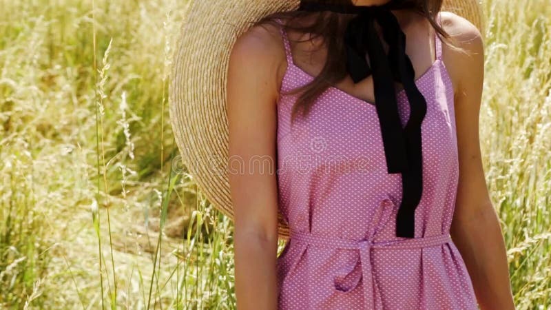 L'herbe de transitoire de beau jeune de femme long de cheveux de maquillage de nature paysage lumineux sexy de fond et le modèle banque de vidéos