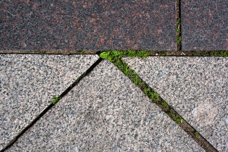 L'herbe est par les pavés d'en haut photos libres de droits L'herbe est par les pavés d'en haut photos libres de droits