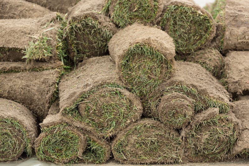 L'herbe roulée est empilée, prépare pour faire du jardinage, concept photographie stock L'herbe roulée est empilée, prépare pour faire du jardinage, concept photographie stock