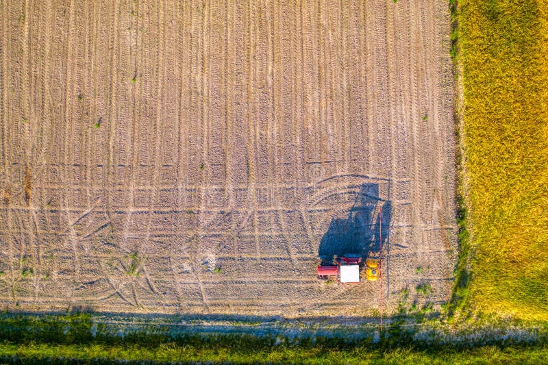 L'herbicide de pulvérisation de tracteur sur le jeune champ de maïs, lutte contre les mauvaises herbes de glyphosate, GMO a trait photographie stock L'herbicide de pulvérisation de tracteur sur le jeune champ de maïs, lutte contre les mauvaises herbes de glyphosate, GMO a trait photographie stock