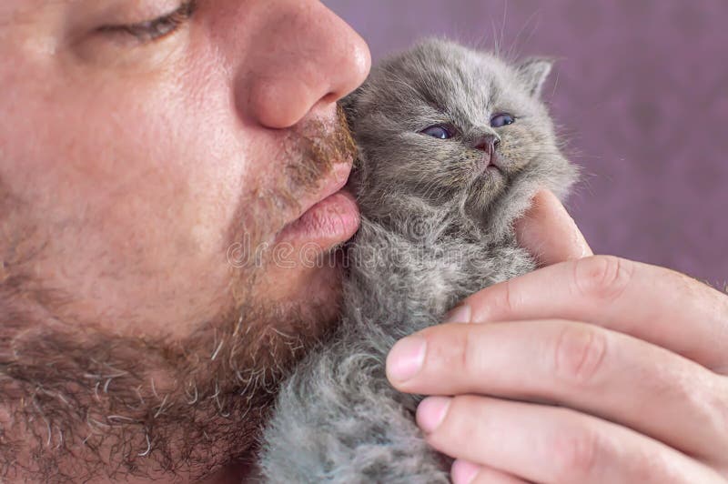 L'homme barbu embrasse un petit chaton photographie stock libre de droits L'homme barbu embrasse un petit chaton photographie stock libre de droits
