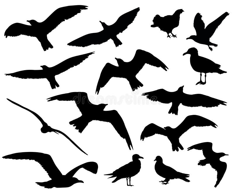 L'insieme degli uccelli profila 15 in 1 su fondo bianco illustrazione vettoriale L'insieme degli uccelli profila 15 in 1 su fondo bianco illustrazione vettoriale
