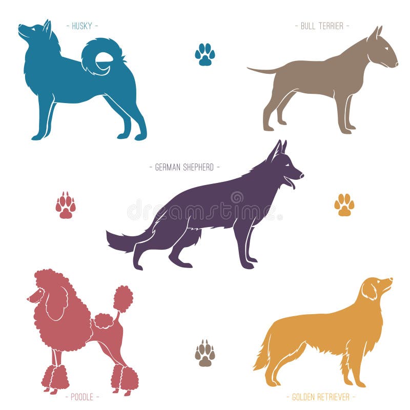 L'insieme del cane differente cresce siluette illustrazione di stock L'insieme del cane differente cresce siluette illustrazione di stock