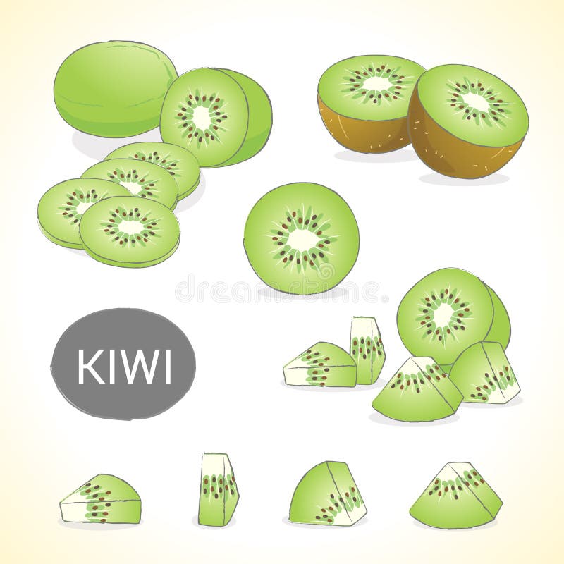 L'insieme di kiwi in vari stili vector il formato illustrazione di stock