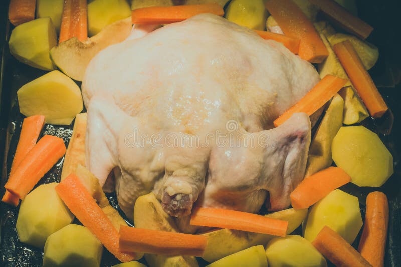 L'intero pollo fresco con frutta e le verdure è preparato per il co fotografia stock L'intero pollo fresco con frutta e le verdure è preparato per il co fotografia stock