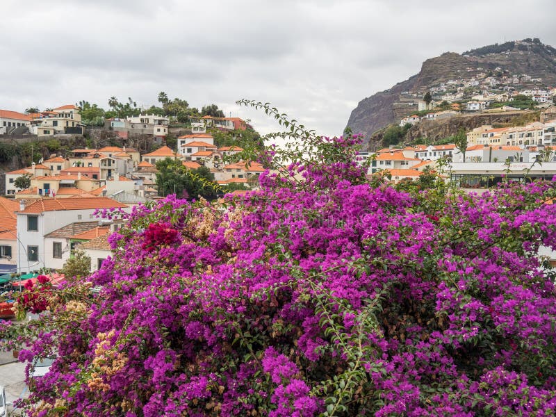L'isola portugese della Madera fotografie stock