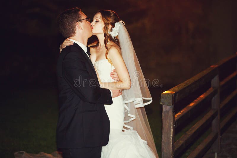 L'ornamento lo sposo e della sposa eleganti di modo è baciare sulla parte posteriore fotografia stock libera da diritti L'ornamento lo sposo e della sposa eleganti di modo è baciare sulla parte posteriore fotografia stock libera da diritti