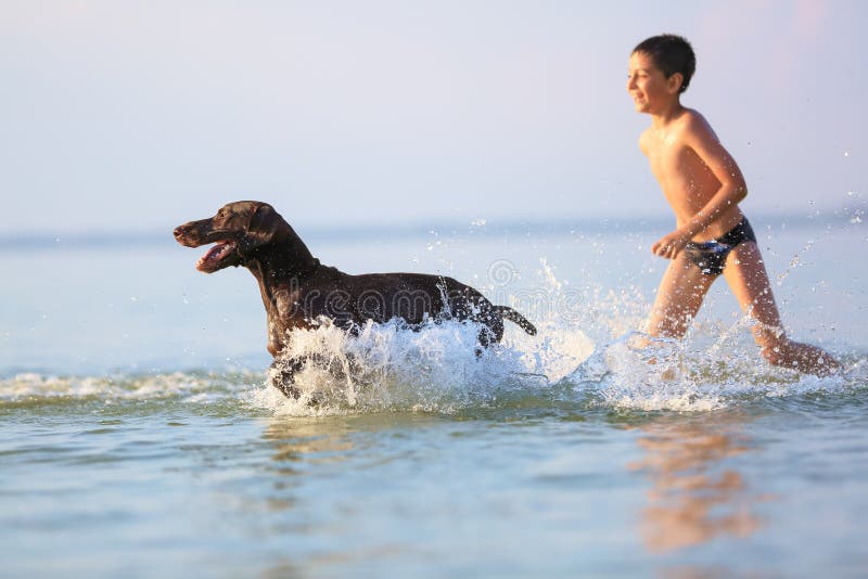 L?ufe des kleinen Jungen, Spiele mit dem jagenden braunen Hund im Wasser Gl?ckliche Kindheit Sch?ner sonniger Sommertag Ort von E stockbild L?ufe des kleinen Jungen, Spiele mit dem jagenden braunen Hund im Wasser Gl?ckliche Kindheit Sch?ner sonniger Sommertag Ort von E stockbild