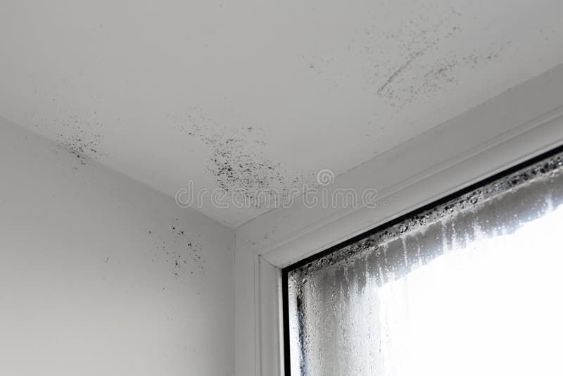 L'umidità sta attaccando la parete muffa sulla finestra Finestra della Camera con umidità e condensazione
