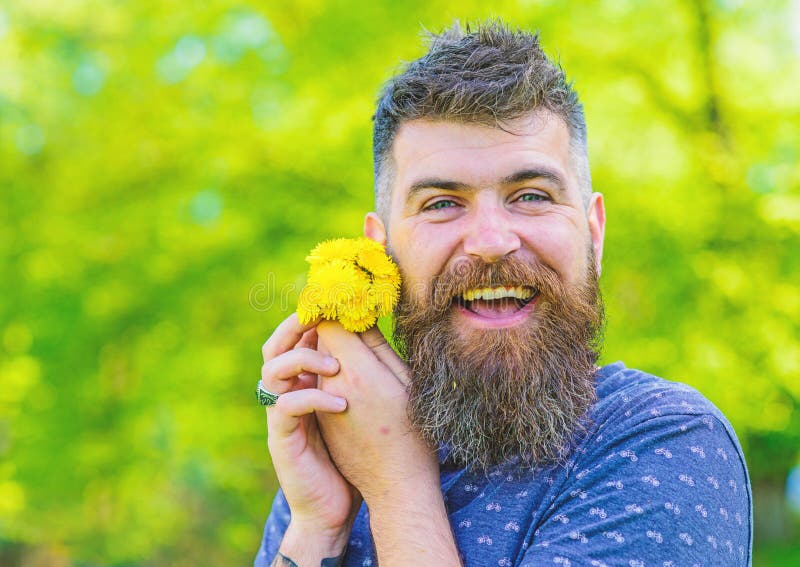 L'uomo con la barba ed i baffi sul fronte felice tiene il mazzo dei denti di leone I pantaloni a vita bassa romantici hanno fatto fotografie stock L'uomo con la barba ed i baffi sul fronte felice tiene il mazzo dei denti di leone I pantaloni a vita bassa romantici hanno fatto fotografie stock
