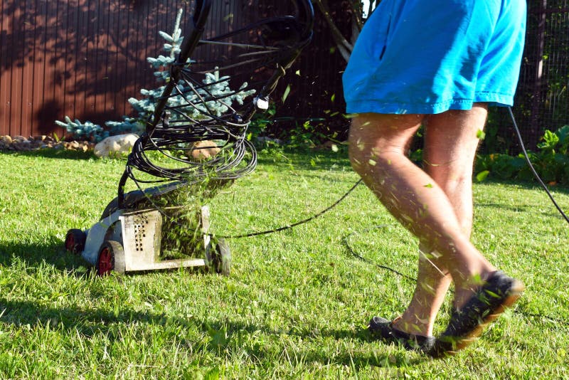 L'uomo falcia il prato inglese verde in giardino di estate Giardiniere con il elettricista-falciatore fotografie stock libere da diritti L'uomo falcia il prato inglese verde in giardino di estate Giardiniere con il elettricista-falciatore fotografie stock libere da diritti