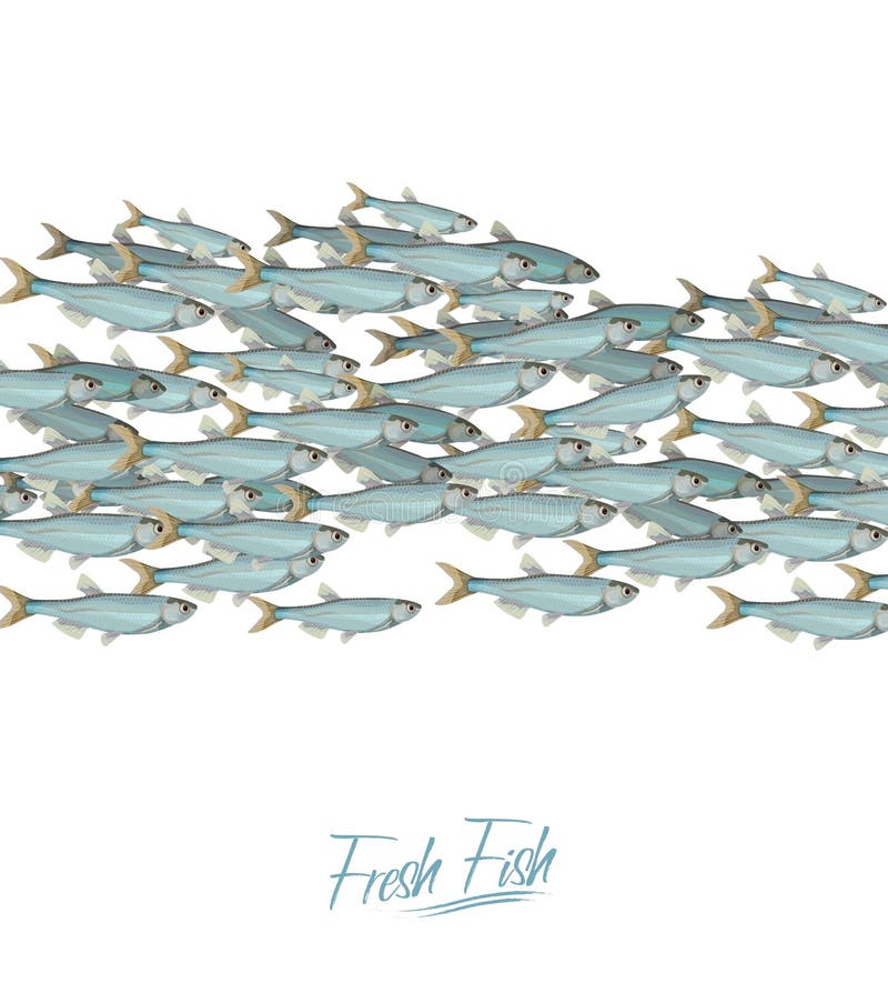 L'école des poissons dirigent l'illustration pour l'en-tête, le Web, la copie, la carte et l'invitation Abondance des harengs ou illustration stock L'école des poissons dirigent l'illustration pour l'en-tête, le Web, la copie, la carte et l'invitation Abondance des harengs ou illustration stock