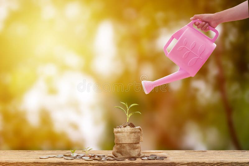 L'économie et l'investissement conceptuels remettent tenir la boîte d'arrosage rose image stock L'économie et l'investissement conceptuels remettent tenir la boîte d'arrosage rose image stock