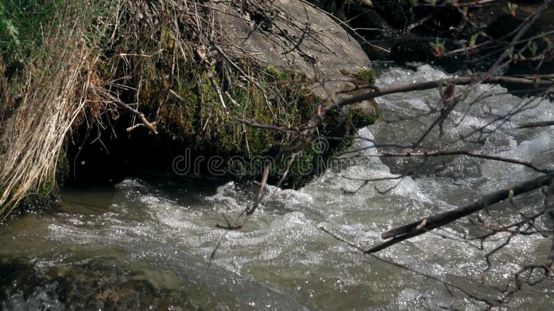 L'écoulement rapide de la rivière près de la pierre
