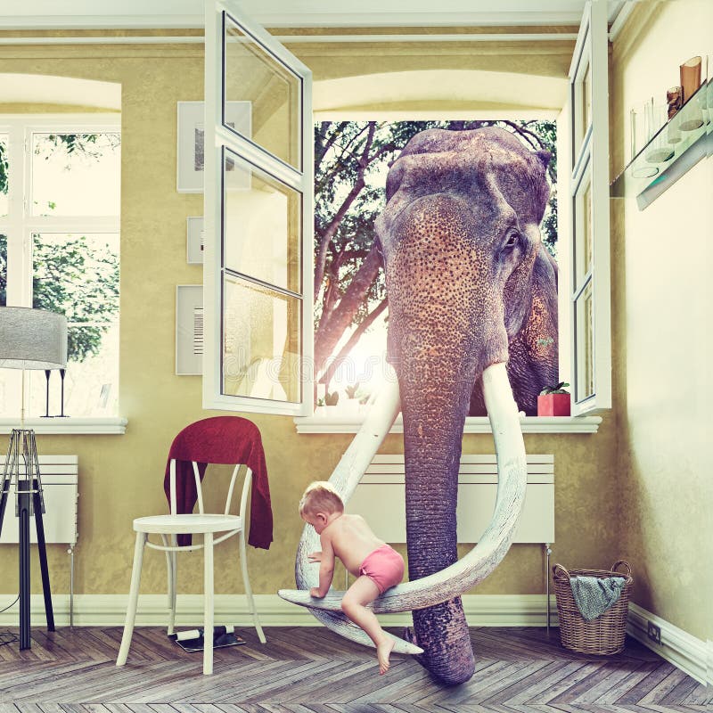 The elephant in the room window and baby, Photo combination concept. The elephant in the room window and baby, Photo combination concept